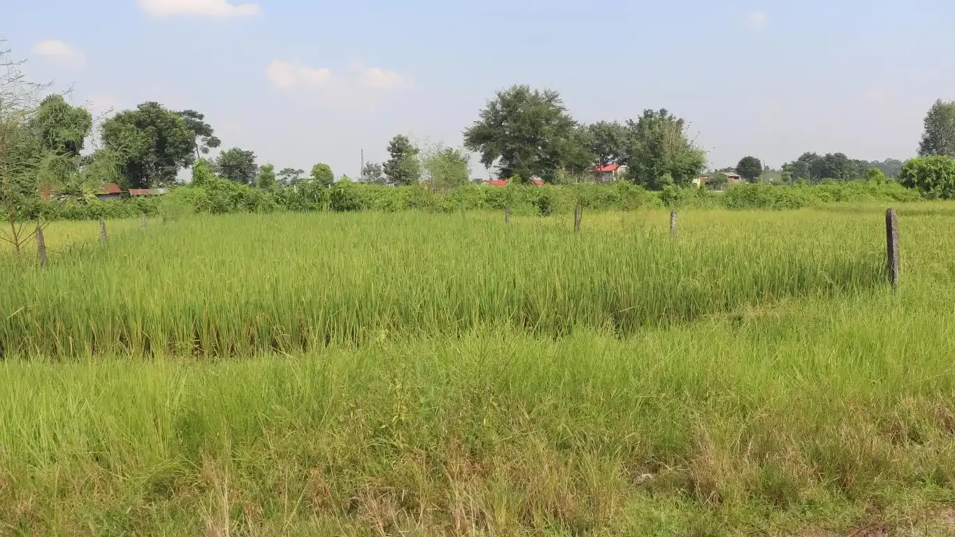 Devnagar, Ward No. 6, Bharatpur Metropolitan City, Chitwan, Bagmati Nepal, ,Land,For sale - Properties,9094