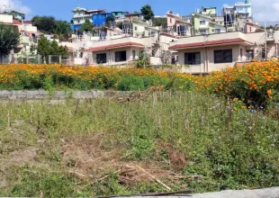 Grande, Ward No. 3, Tokha Nagarpalika, Kathmandu, Bagmati Nepal, ,Land,For sale - Properties,9099