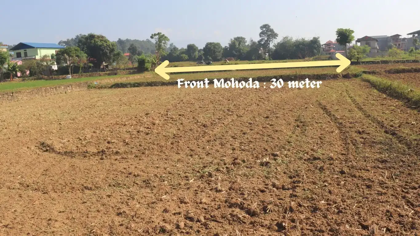 Dharapani Chowk, Ward No. 1, Gaindakot Municipality, Nawalpur, Gandaki Pradesh Nepal, ,Land,For sale - Properties,9102