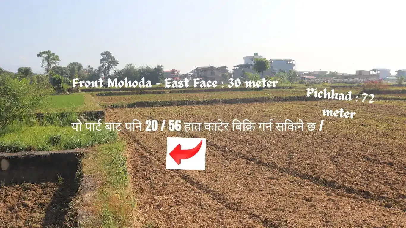 Dharapani Chowk, Ward No. 1, Gaindakot Municipality, Nawalpur, Gandaki Pradesh Nepal, ,Land,For sale - Properties,9102