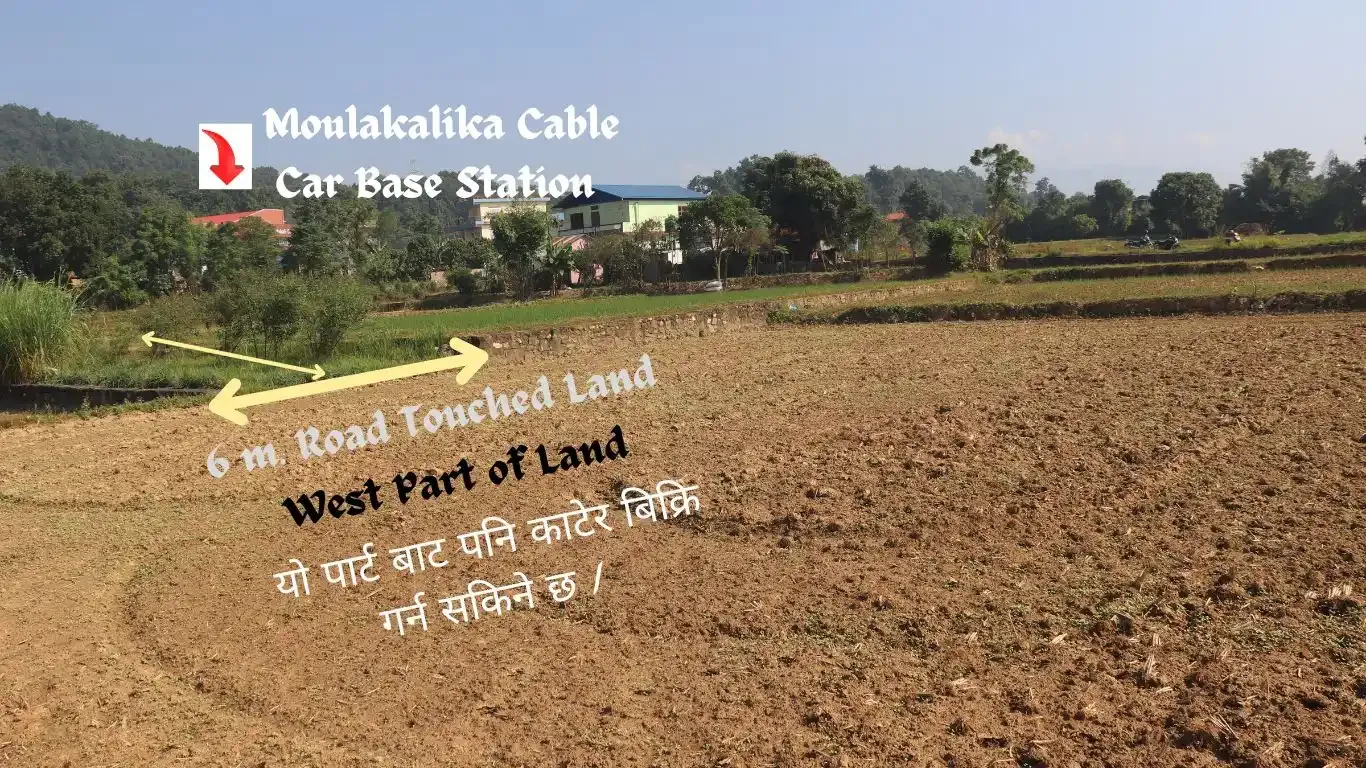 Dharapani Chowk, Ward No. 1, Gaindakot Municipality, Nawalpur, Gandaki Pradesh Nepal, ,Land,For sale - Properties,9102