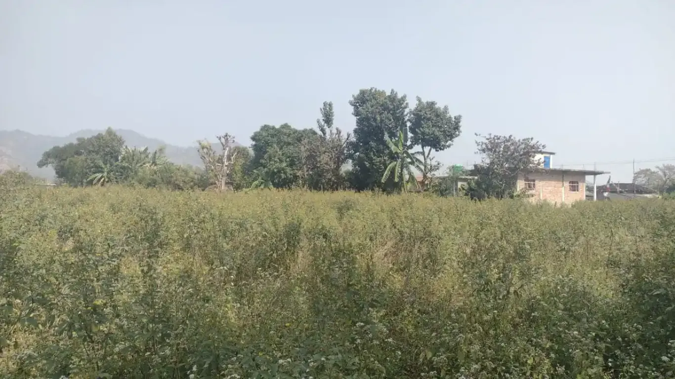 Sakhubanni, Ward No.5, Ganeshman Charnath Municipality, Dhanusha, Pradesh 2 Nepal, ,Land,For sale - Properties,9106