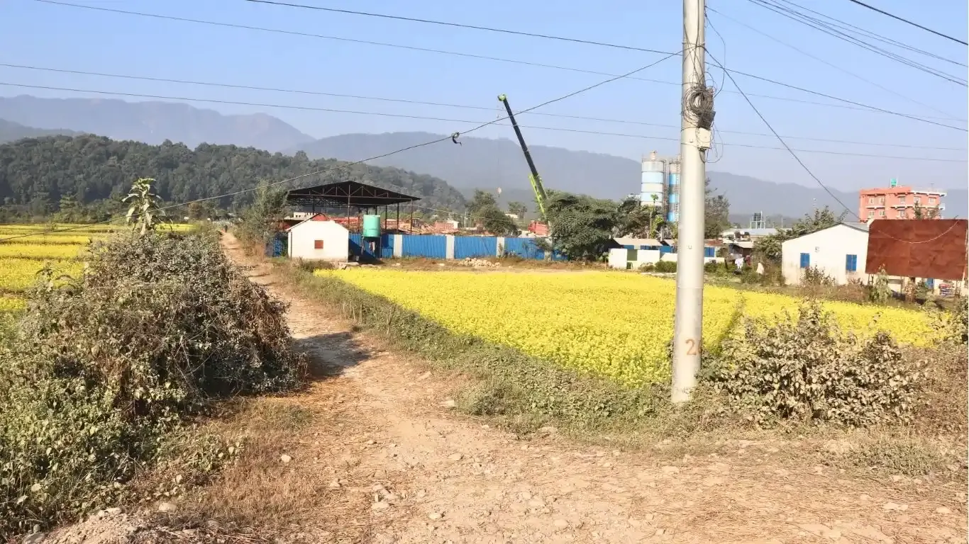 Rajahar, Ward No. 16, Devchuli Municipality, Nawalpur, Gandaki Pradesh Nepal, ,Land,For sale - Properties,9122