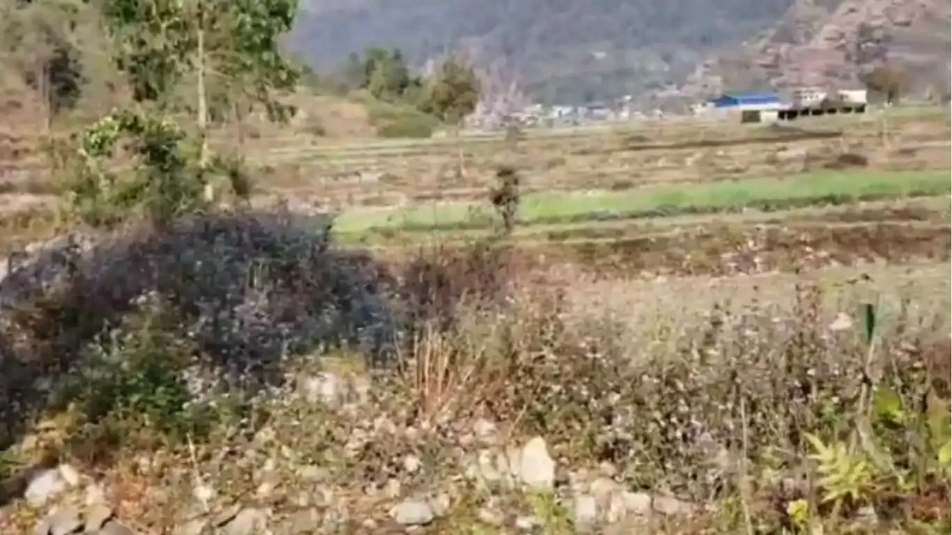 Hemja, Ward No. 25, Pokhara Metropolitan City, Kaski, Gandaki Pradesh Nepal, ,Land,For sale - Properties,9134