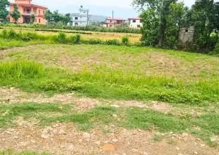 Pipara, Ward No. 3, Khairahani Municipality, Chitwan, Bagmati Nepal, ,Land,For sale - Properties,9137