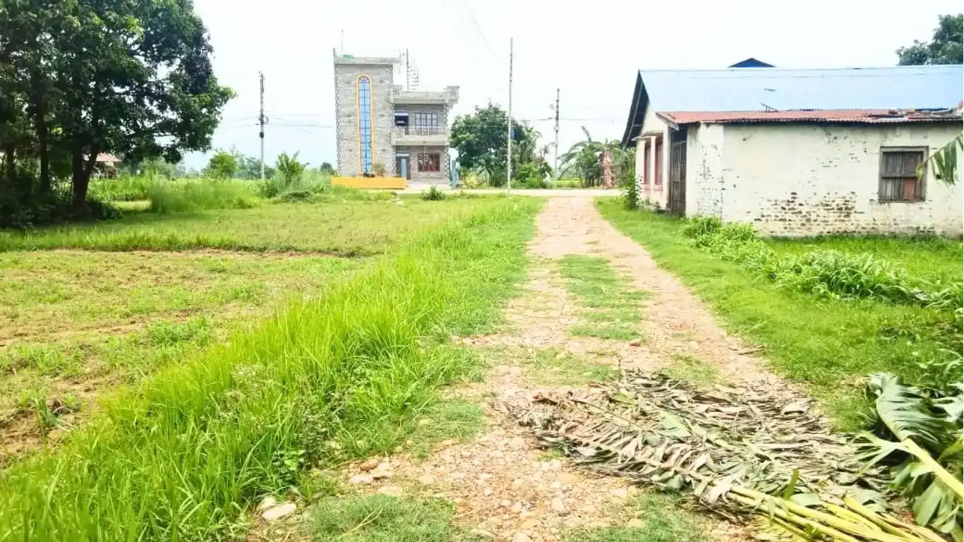 Pipara, Ward No. 3, Khairahani Municipality, Chitwan, Bagmati Nepal, ,Land,For sale - Properties,9137