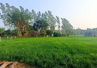 Ban Gaun, Purnagiri Tole, Ward No. 6, Bheemdatta Municipality, Kanchanpur, Sudur Paschimanchal Nepal, ,Land,For sale - Properties,9151