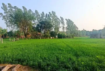 Kanchanpur, Sudur Paschimanchal Nepal, ,Land,For sale - Properties,9151