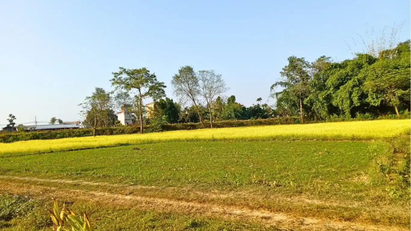 Padariya, Ward No.7, Ratnanagar Municipality, Chitwan, Bagmati Nepal, ,Land,For sale - Properties,9159