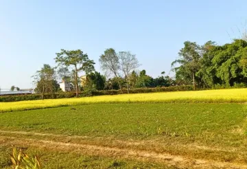 Padariya, Ward No.7, Ratnanagar Municipality, Chitwan, Bagmati Nepal, ,Land,For sale - Properties,9159