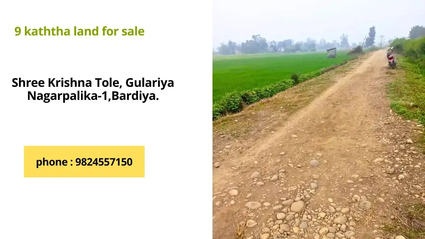 Land for sale 