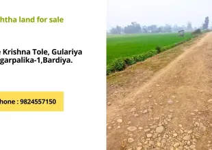 Shree Krishna tole, Ward No.1, Gulariya Municipality, Bardiya, Lumbini Nepal, ,Land,For sale - Properties,9162