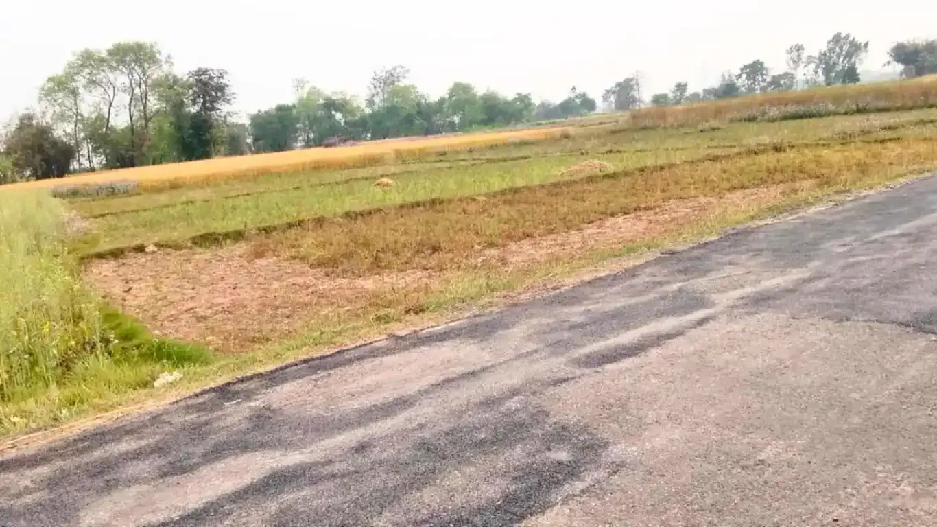 Harnaiya, Ward No.3, Siyari Rural Municipality, Rupandehi, Lumbini Nepal, ,Land,For sale - Properties,9176