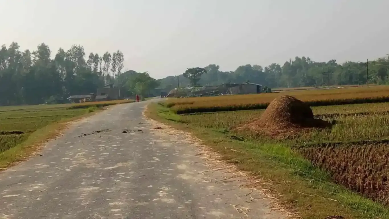 Harnaiya, Ward No.3, Siyari Rural Municipality, Rupandehi, Lumbini Nepal, ,Land,For sale - Properties,9176