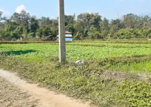 Koilapani, Ward No.1, Kawasoti Municipality, Nawalpur, Gandaki Pradesh Nepal, ,Land,For sale - Properties,9187