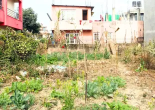 Imadol, Ward No. 5, Mahalaxmi Municipality, Lalitpur, Bagmati Nepal, ,Land,For sale - Properties,9194