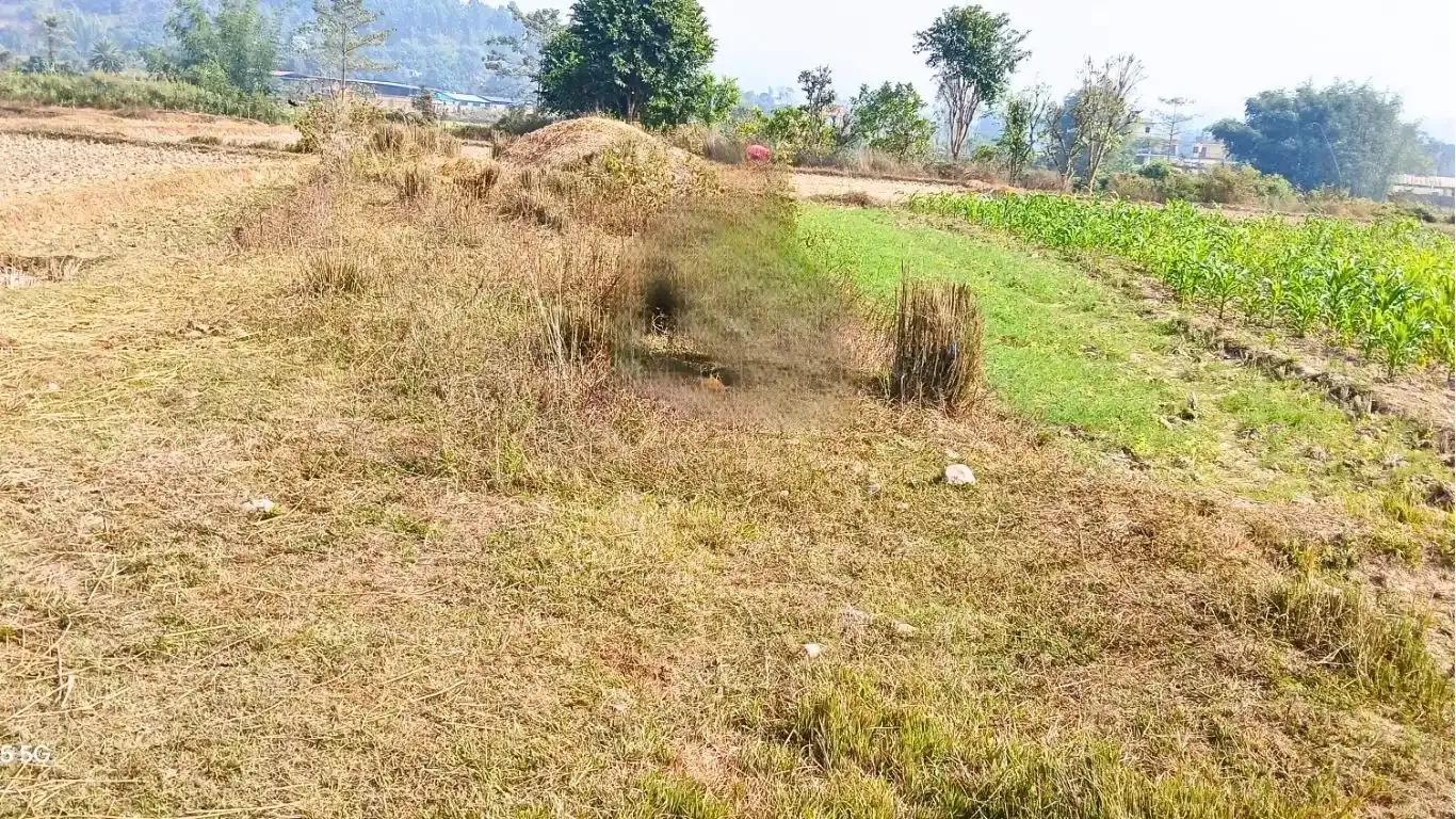 Khor Bhanjyang, Ward No. 8, Dudhauli Municipality, Sindhuli, Bagmati Nepal, ,Land,For sale - Properties,9212