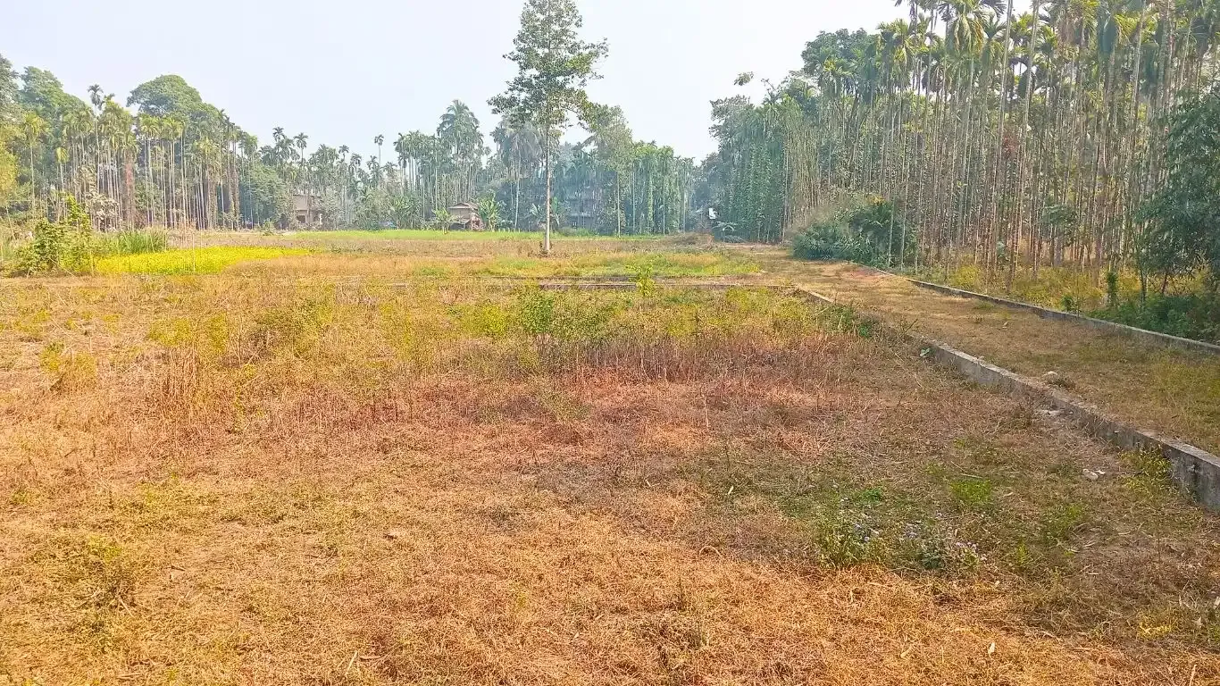 Sanischare, Ward No. 9, Arjundhara, Jhapa, Koshi Pradesh Nepal, ,Land,For sale - Properties,9221