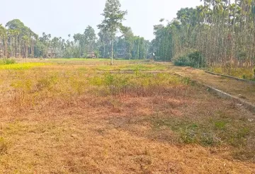 Sanischare, Ward No. 9, Arjundhara, Jhapa, Koshi Pradesh Nepal, ,Land,For sale - Properties,9221