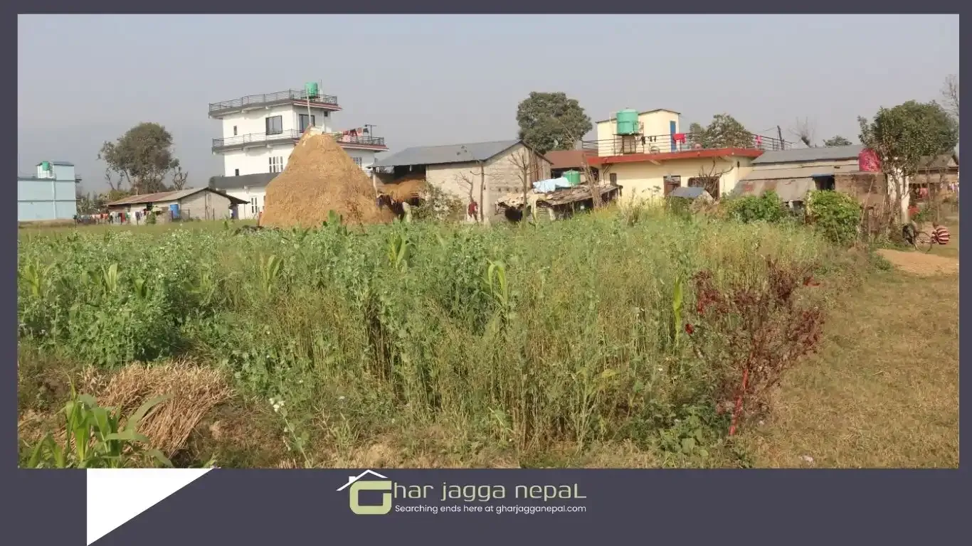 Faram Chowk, Ward No. 17, Devchuli Municipality, Nawalpur, Gandaki Pradesh Nepal, 2 Bedrooms Bedrooms, 5 Rooms Rooms,1 BathroomBathrooms,House,For sale - Properties,9235