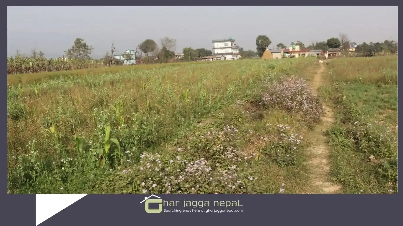 Faram Chowk, Ward No. 17, Devchuli Municipality, Nawalpur, Gandaki Pradesh Nepal, 2 Bedrooms Bedrooms, 5 Rooms Rooms,1 BathroomBathrooms,House,For sale - Properties,9235