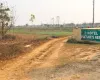 Bachhayauli, Sauraha, Ward No.7, Ratnanagar Municipality, Chitwan, Bagmati Nepal, ,Land,For sale - Properties,9238