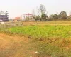 Bachhayauli, Sauraha, Ward No.7, Ratnanagar Municipality, Chitwan, Bagmati Nepal, ,Land,For sale - Properties,9238