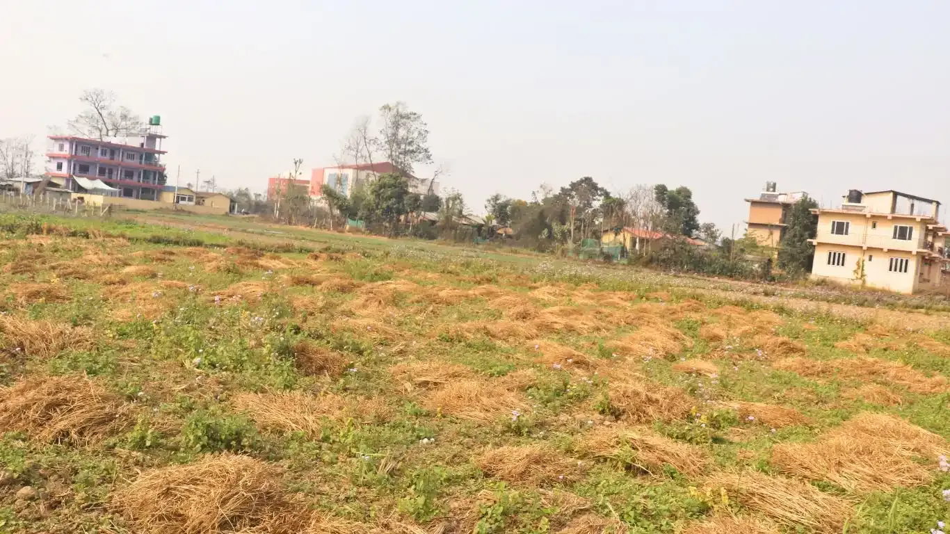 Bachhayauli, Sauraha, Ward No.7, Ratnanagar Municipality, Chitwan, Bagmati Nepal, ,Land,For sale - Properties,9238