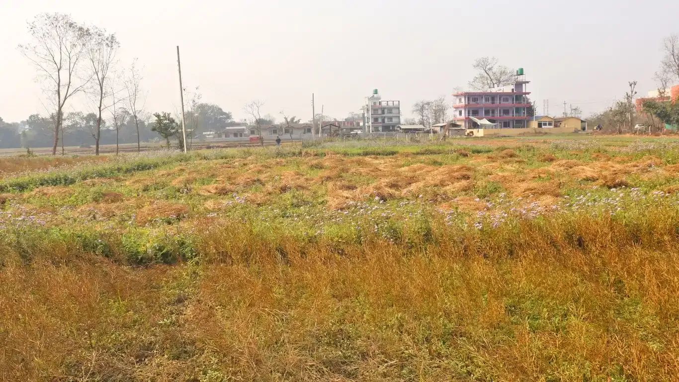 Bachhayauli, Sauraha, Ward No.7, Ratnanagar Municipality, Chitwan, Bagmati Nepal, ,Land,For sale - Properties,9238