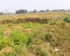 Bachhayauli, Sauraha, Ward No.7, Ratnanagar Municipality, Chitwan, Bagmati Nepal, ,Land,For sale - Properties,9238