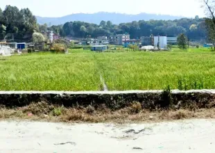 Salambutar, Ward No. 6, Shankharapur Nagarpalika, Kathmandu, Bagmati Nepal, ,Land,For sale - Properties,9260