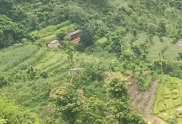 Agricultural land Dhading, Chuwakhark land sale, 5 Ropani farmland Nepal, land near Gajuri Bazar, Malekhu Dhading property, Siddhalek Gaupalika land