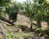 land for sale Kathmandu, cheap land Nagarjun, south-facing land Nepal, LRI school land, Ring Road nearby property, Kalanki land deal, Sitapaila property, Kathmandu real estate investment, direct owner land Nepal