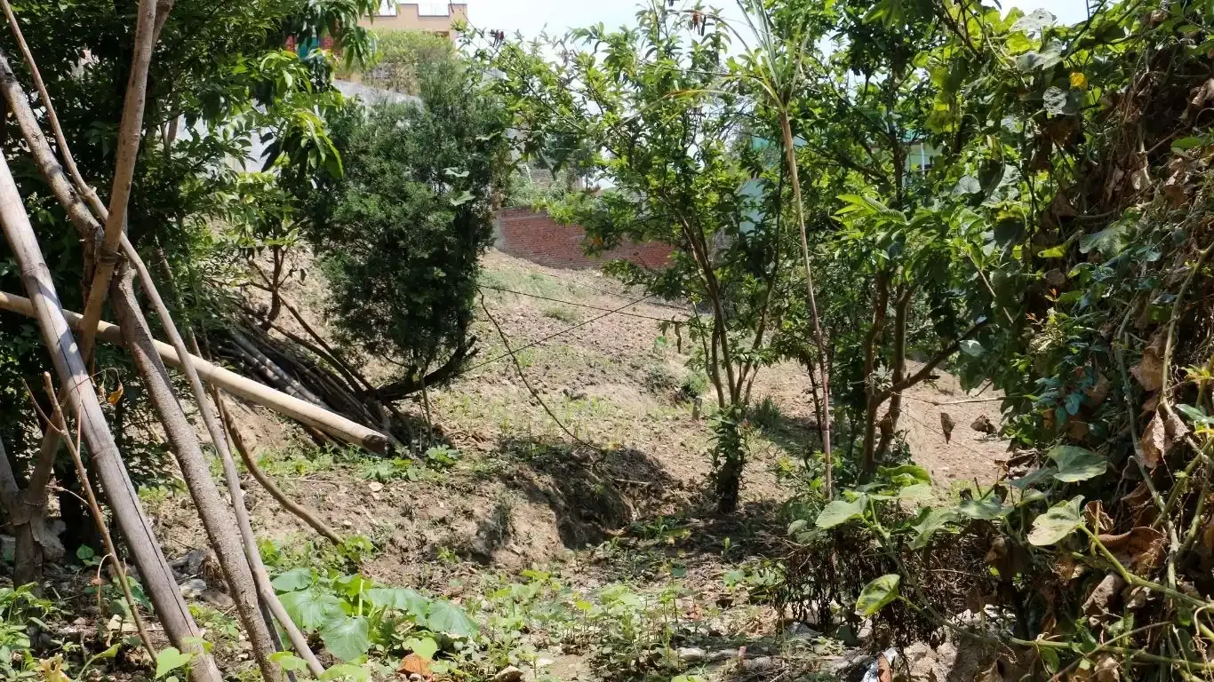 land for sale Kathmandu, cheap land Nagarjun, south-facing land Nepal, LRI school land, Ring Road nearby property, Kalanki land deal, Sitapaila property, Kathmandu real estate investment, direct owner land Nepal