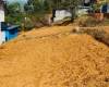 Land for sale Ramkot Kathmandu, Padma Colony Chowk real estate , residential plot Fasku Tole , Property investment Kathmandu, Buy land near Sitapaila Ring Road , Affordable land Kathmandu valley