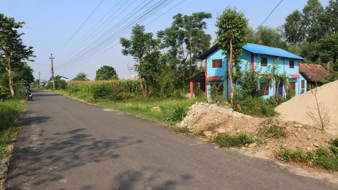 Land for sale Meghauli, Meghauli real estate, Chitwan tourism land, land near Chitwan National Park, Seruwa Tole land, eco-resort land Nepal, Bharatpur 28 property, 10 kattha land for homestay, jungle lodge land Nepal