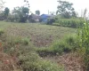 Land for sale Meghauli, Meghauli real estate, Chitwan tourism land, land near Chitwan National Park, Seruwa Tole land, eco-resort land Nepal, Bharatpur 28 property, 10 kattha land for homestay, jungle lodge land Nepal