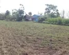 Land for sale Meghauli, Meghauli real estate, Chitwan tourism land, land near Chitwan National Park, Seruwa Tole land, eco-resort land Nepal, Bharatpur 28 property, 10 kattha land for homestay, jungle lodge land Nepal