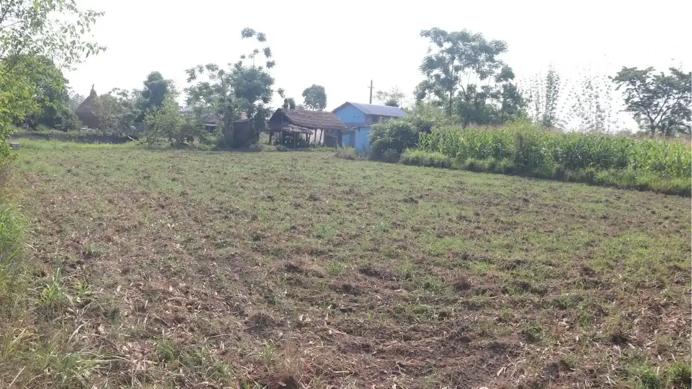 Land for sale Meghauli, Meghauli real estate, Chitwan tourism land, land near Chitwan National Park, Seruwa Tole land, eco-resort land Nepal, Bharatpur 28 property, 10 kattha land for homestay, jungle lodge land Nepal