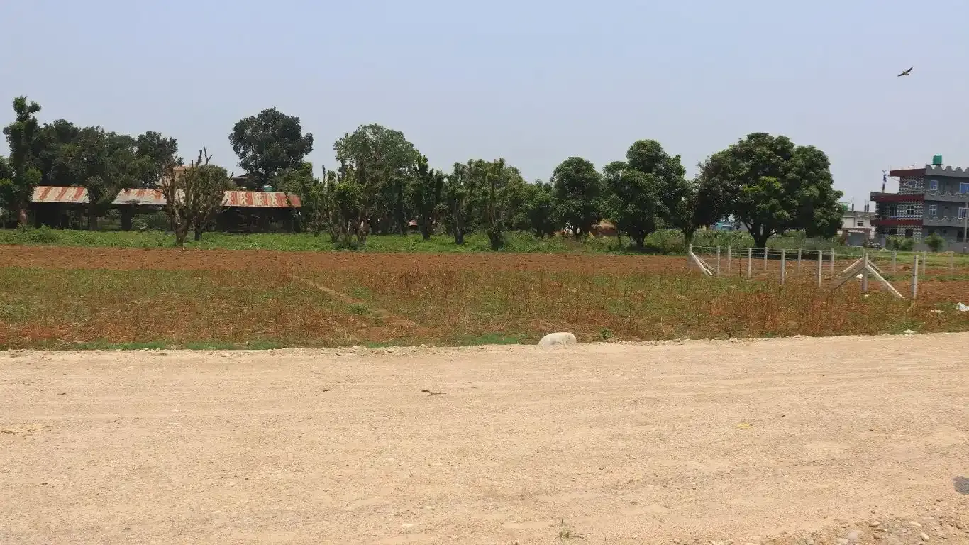 Land for sale Bharatpur

Buy land Prembasti Bharatpur

Residential plots Bharatpur Ward 7

Chitwan real estate listings

Bharatpur-7 land near Cancer Hospital

Real estate Bharatpur Nepal

Affordable plots Chitwan