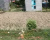 Land for sale in Lamatar

Lubhu residential plot

Mahalaxmi Municipality land

South-facing land in Lalitpur

Property near Lubhu Bus Park

Gyanitol land listing

Affordable plot Lalitpur

Kathmandu Valley real estate

Land investment Mahalaxmi-9