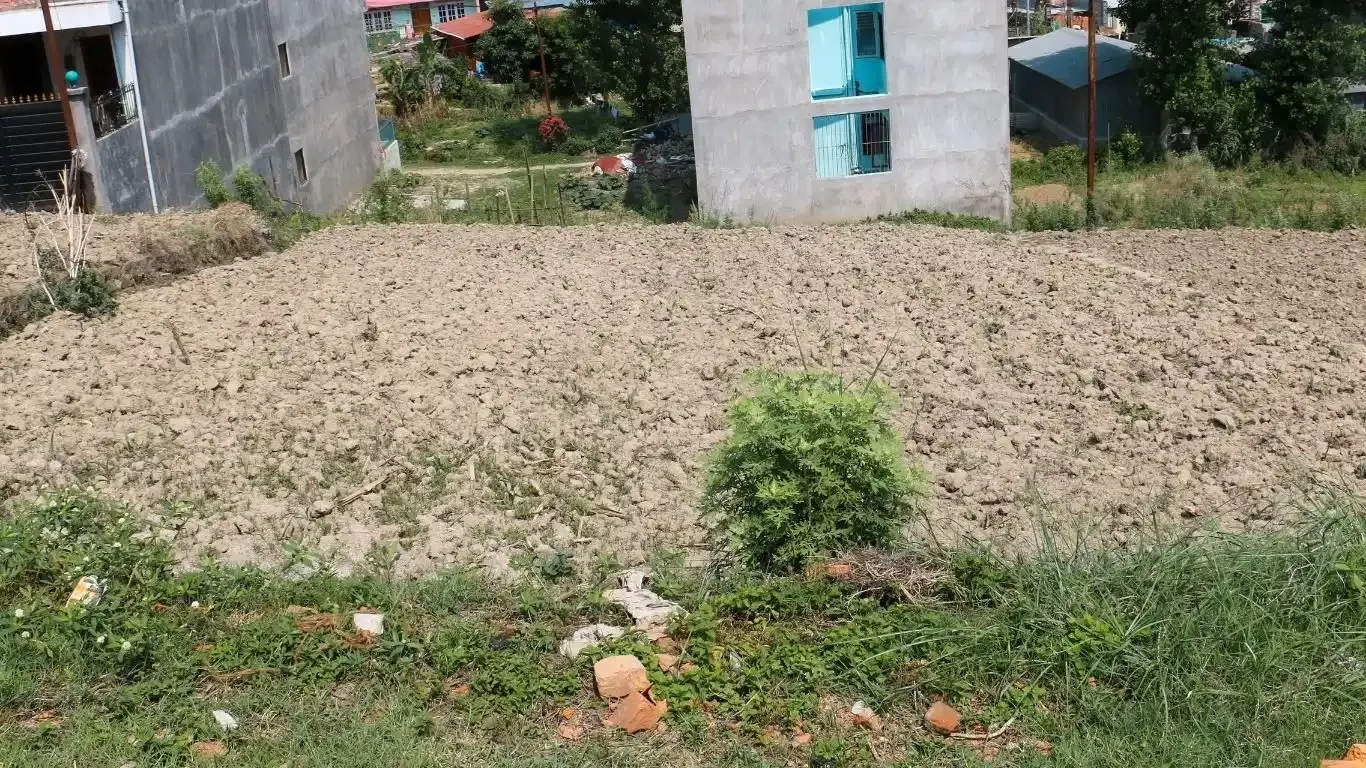 Land for sale in Lamatar

Lubhu residential plot

Mahalaxmi Municipality land

South-facing land in Lalitpur

Property near Lubhu Bus Park

Gyanitol land listing

Affordable plot Lalitpur

Kathmandu Valley real estate

Land investment Mahalaxmi-9