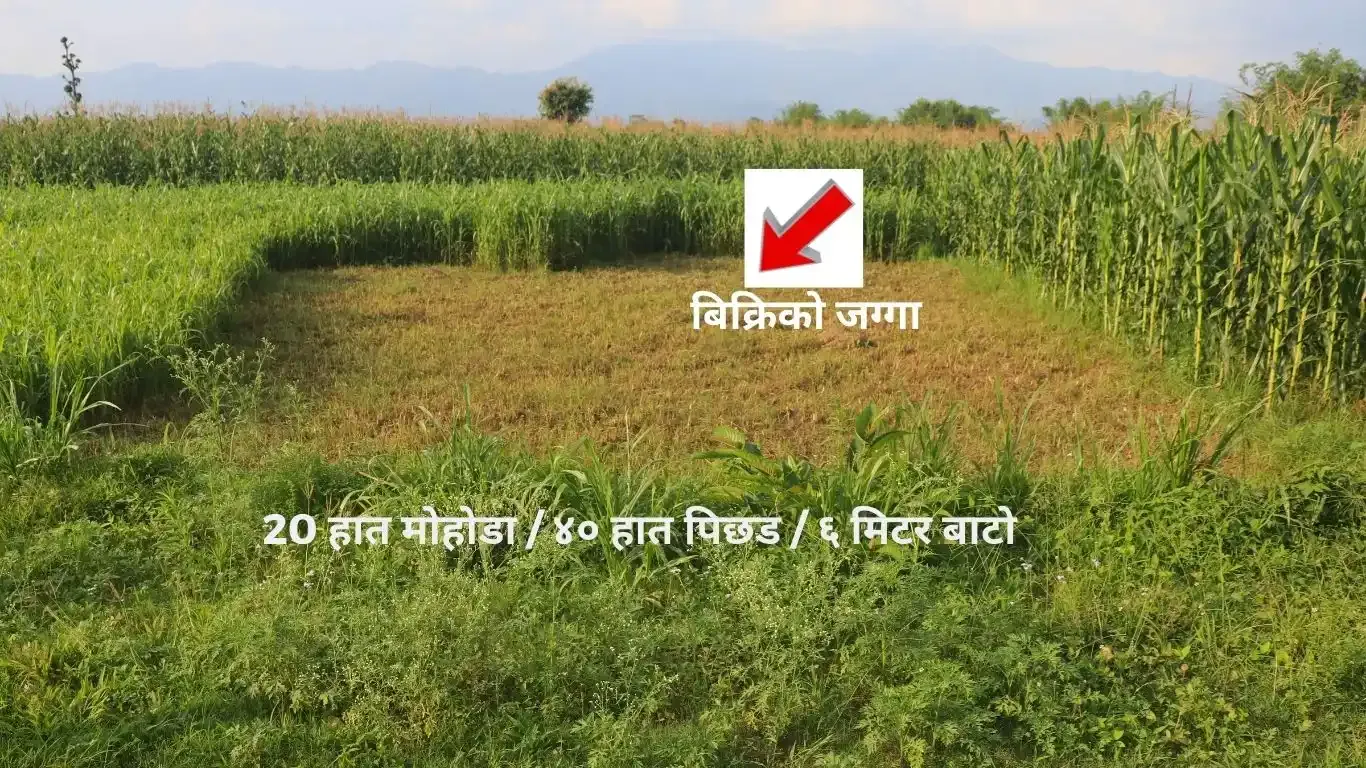 Land for sale in Kalika Nagarpalika Ward 6

10 dhur land Kalika Municipality Chitwan

Residential plot near Kalika Gate

Buy land near Bakulahar–Padampur Road

Affordable land for sale Chitwan Nepal

Real estate opportunity Kalika Ward 6

Construction-ready plot Chitwan

Pakhrin Tole land for sale