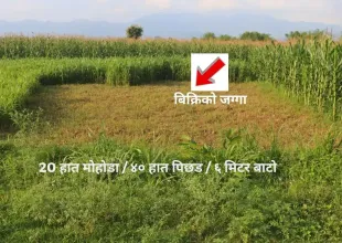 Land for sale in Kalika Nagarpalika Ward 6

10 dhur land Kalika Municipality Chitwan

Residential plot near Kalika Gate

Buy land near Bakulahar–Padampur Road

Affordable land for sale Chitwan Nepal

Real estate opportunity Kalika Ward 6

Construction-ready plot Chitwan

Pakhrin Tole land for sale