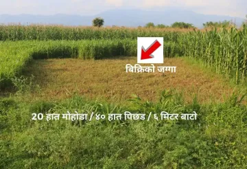 Land for sale in Kalika Nagarpalika Ward 6

10 dhur land Kalika Municipality Chitwan

Residential plot near Kalika Gate

Buy land near Bakulahar–Padampur Road

Affordable land for sale Chitwan Nepal

Real estate opportunity Kalika Ward 6

Construction-ready plot Chitwan

Pakhrin Tole land for sale