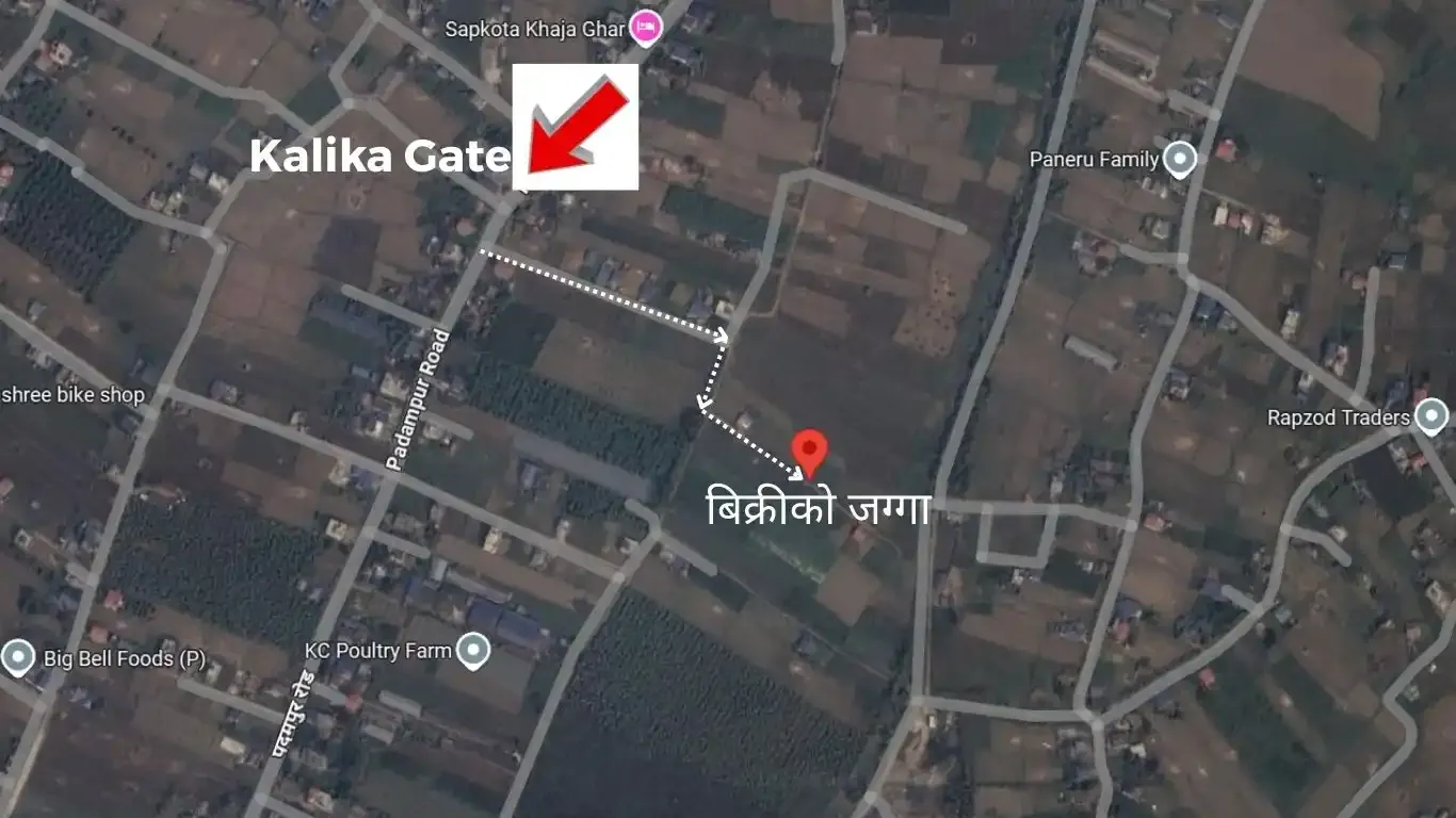 Land for sale in Kalika Nagarpalika Ward 6

10 dhur land Kalika Municipality Chitwan

Residential plot near Kalika Gate

Buy land near Bakulahar–Padampur Road

Affordable land for sale Chitwan Nepal

Real estate opportunity Kalika Ward 6

Construction-ready plot Chitwan

Pakhrin Tole land for sale