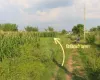 Land for sale in Kalika Nagarpalika Ward 6

10 dhur land Kalika Municipality Chitwan

Residential plot near Kalika Gate

Buy land near Bakulahar–Padampur Road

Affordable land for sale Chitwan Nepal

Real estate opportunity Kalika Ward 6

Construction-ready plot Chitwan

Pakhrin Tole land for sale