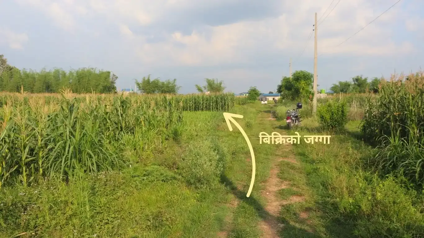 Land for sale in Kalika Nagarpalika Ward 6

10 dhur land Kalika Municipality Chitwan

Residential plot near Kalika Gate

Buy land near Bakulahar–Padampur Road

Affordable land for sale Chitwan Nepal

Real estate opportunity Kalika Ward 6

Construction-ready plot Chitwan

Pakhrin Tole land for sale