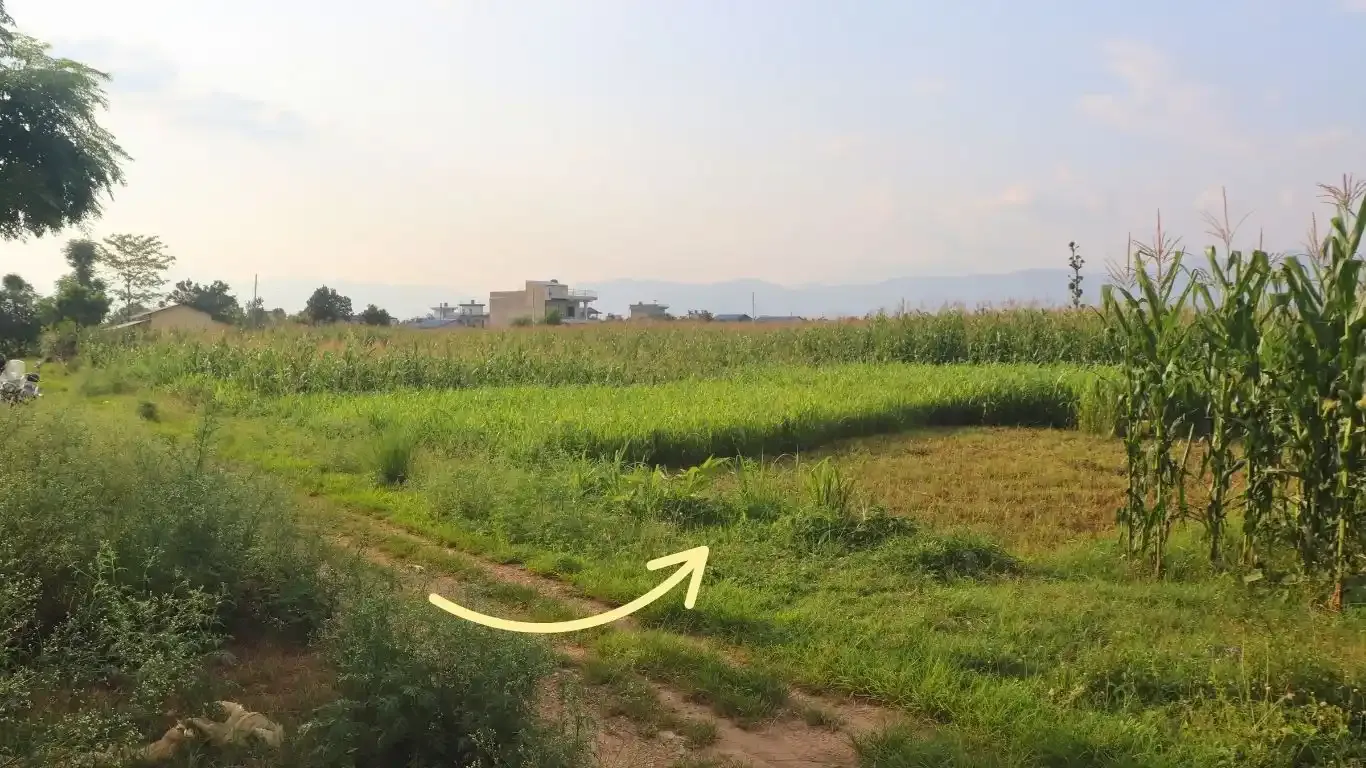 Land for sale in Kalika Nagarpalika Ward 6

10 dhur land Kalika Municipality Chitwan

Residential plot near Kalika Gate

Buy land near Bakulahar–Padampur Road

Affordable land for sale Chitwan Nepal

Real estate opportunity Kalika Ward 6

Construction-ready plot Chitwan

Pakhrin Tole land for sale