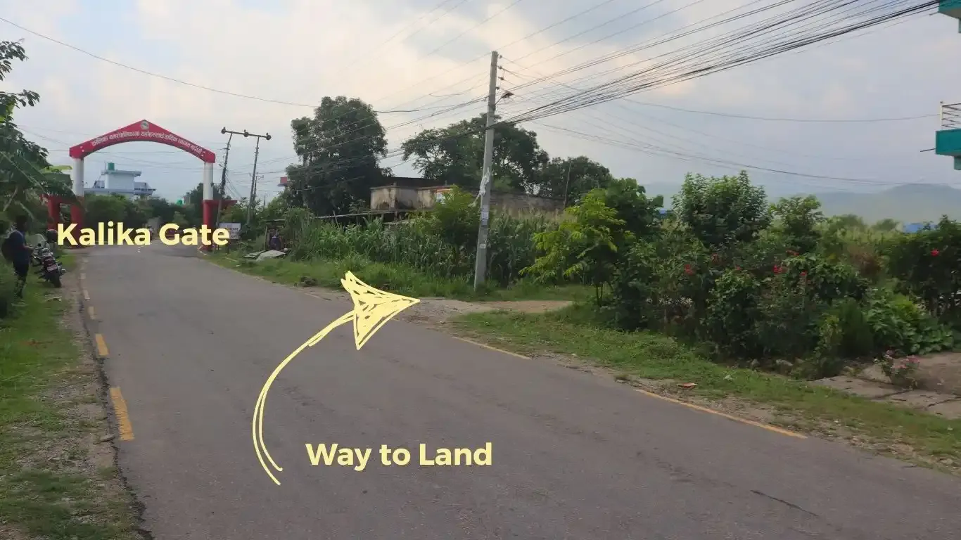 Land for sale in Kalika Nagarpalika Ward 6

10 dhur land Kalika Municipality Chitwan

Residential plot near Kalika Gate

Buy land near Bakulahar–Padampur Road

Affordable land for sale Chitwan Nepal

Real estate opportunity Kalika Ward 6

Construction-ready plot Chitwan

Pakhrin Tole land for sale